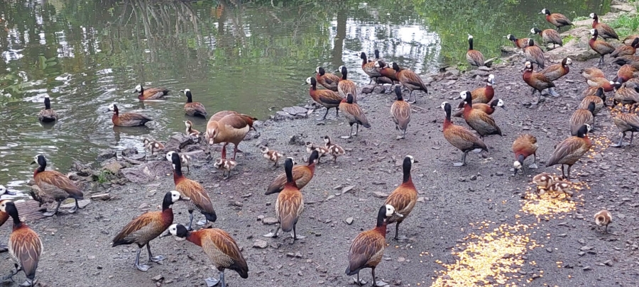 3 Bedroom Property for Sale in Sea Park KwaZulu-Natal