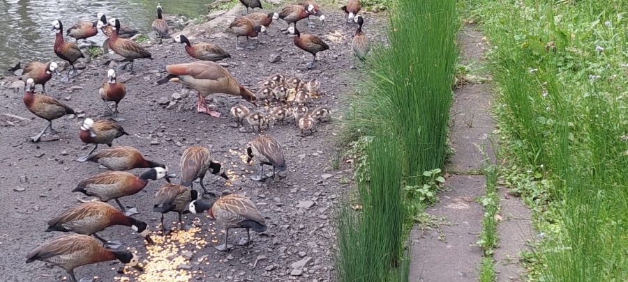 3 Bedroom Property for Sale in Sea Park KwaZulu-Natal