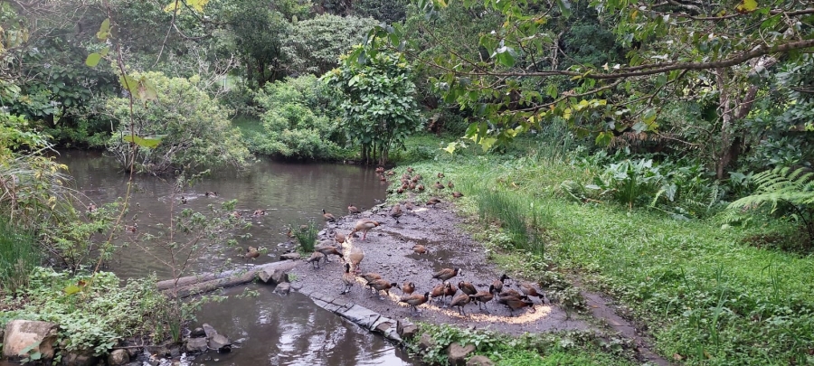 3 Bedroom Property for Sale in Sea Park KwaZulu-Natal