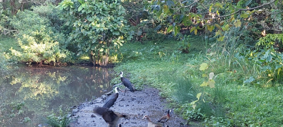 3 Bedroom Property for Sale in Sea Park KwaZulu-Natal