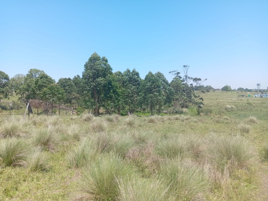 Commercial Property for Sale in Ongoye KwaZulu-Natal