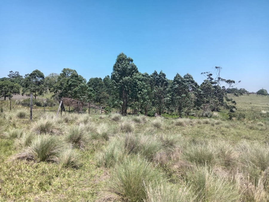 Commercial Property for Sale in Ongoye KwaZulu-Natal