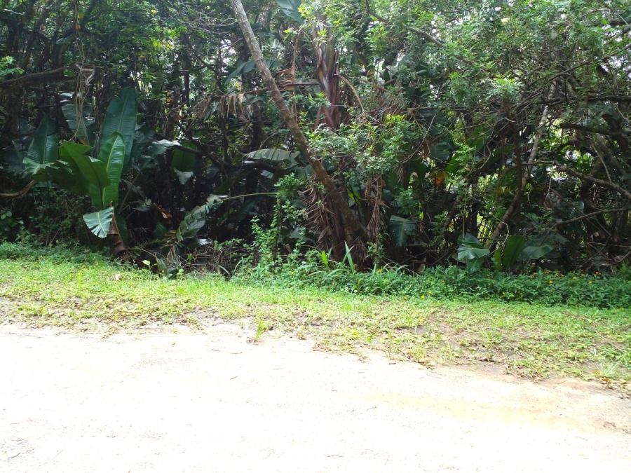 Commercial Property for Sale in Leisure Bay KwaZulu-Natal