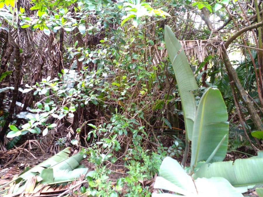 Commercial Property for Sale in Leisure Bay KwaZulu-Natal