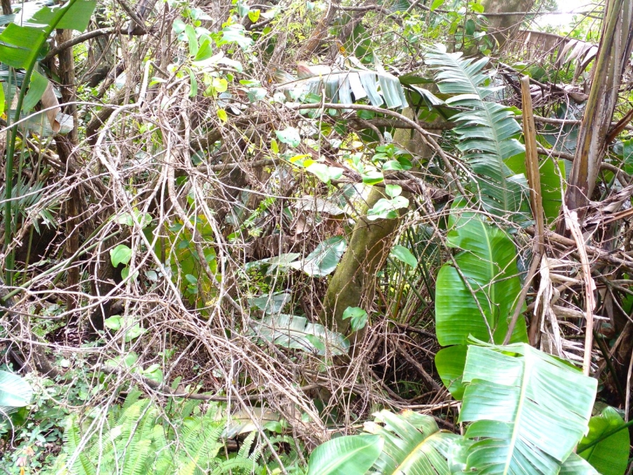 Commercial Property for Sale in Leisure Bay KwaZulu-Natal