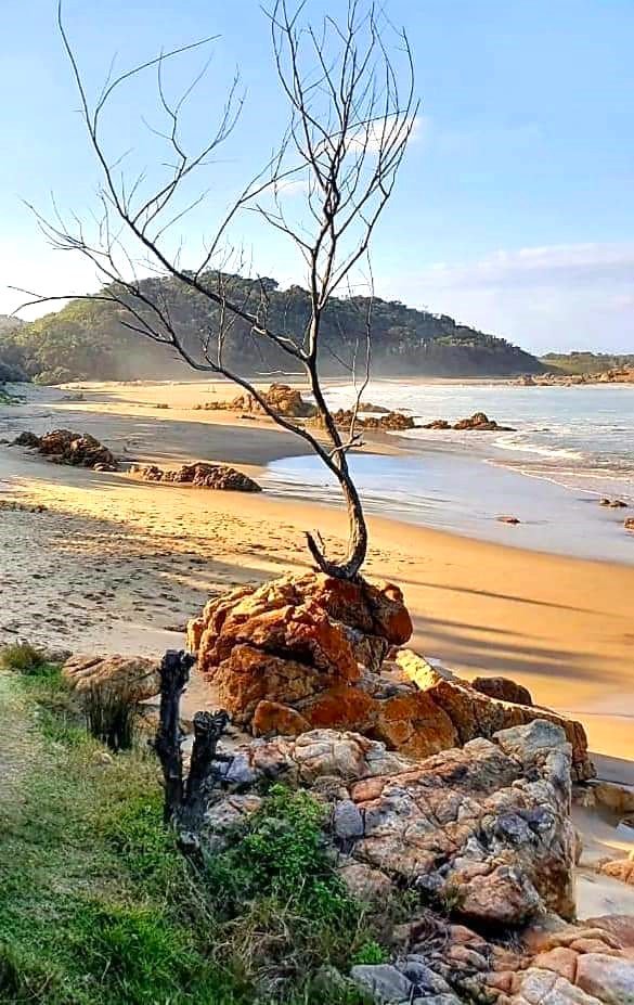 Commercial Property for Sale in Leisure Bay KwaZulu-Natal