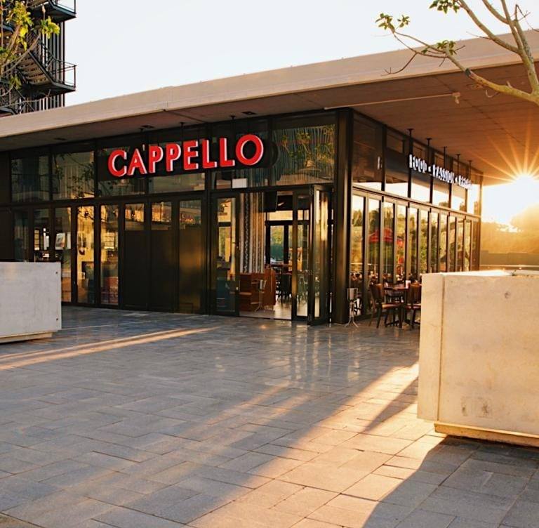 To Let commercial Property for Rent in Umhlanga Ridge KwaZulu-Natal