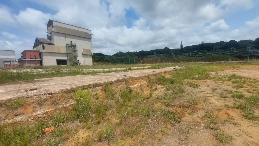 To Let commercial Property for Rent in Umbogintwini KwaZulu-Natal