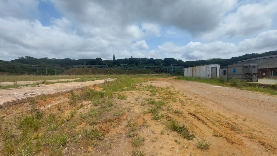 To Let commercial Property for Rent in Umbogintwini KwaZulu-Natal