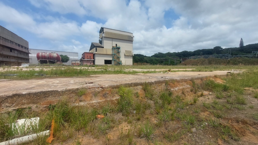 To Let commercial Property for Rent in Umbogintwini KwaZulu-Natal