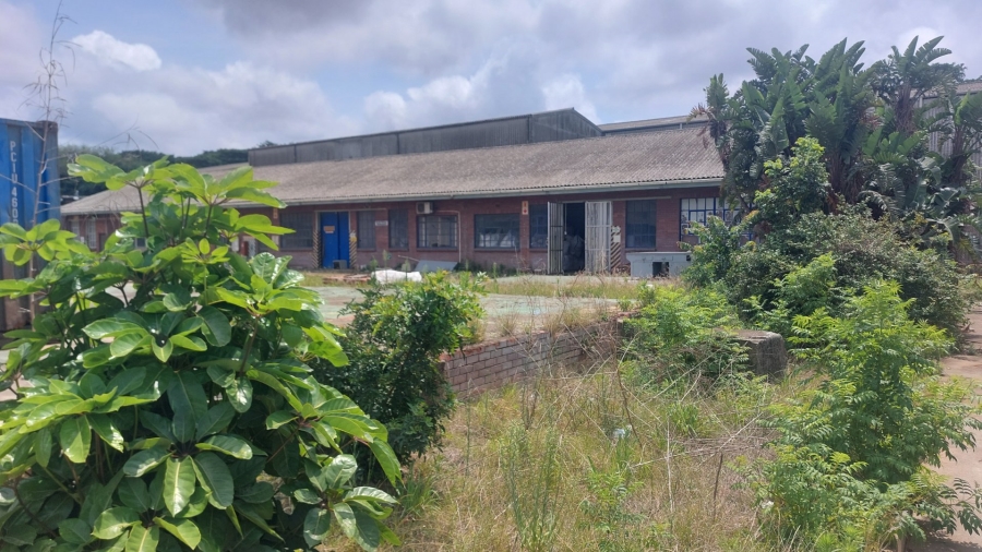 To Let commercial Property for Rent in Umbogintwini KwaZulu-Natal