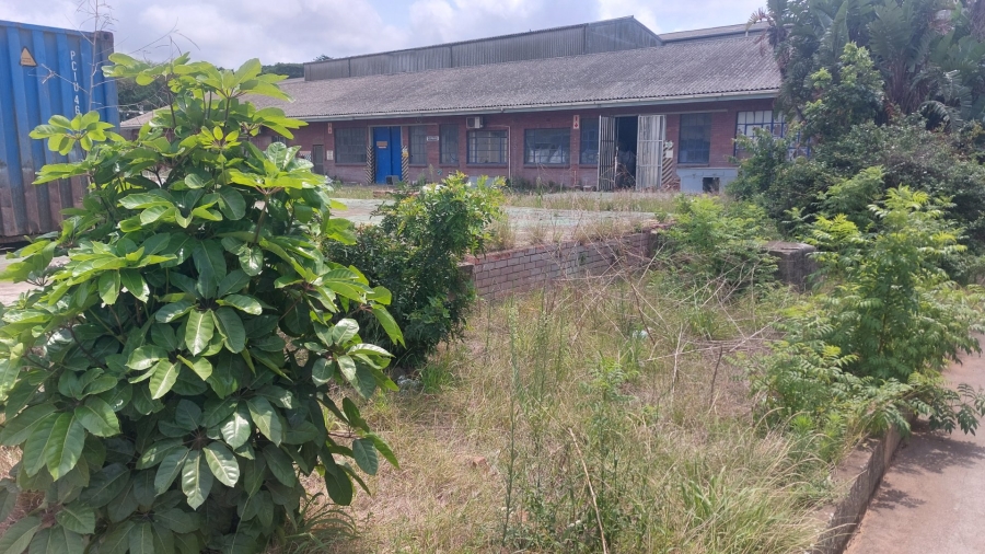 To Let commercial Property for Rent in Umbogintwini KwaZulu-Natal