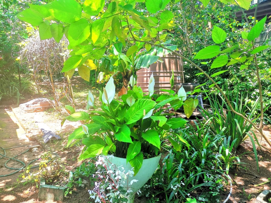 3 Bedroom Property for Sale in Ramsgate KwaZulu-Natal
