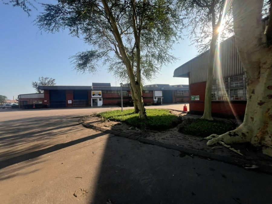 To Let commercial Property for Rent in Richards Bay KwaZulu-Natal