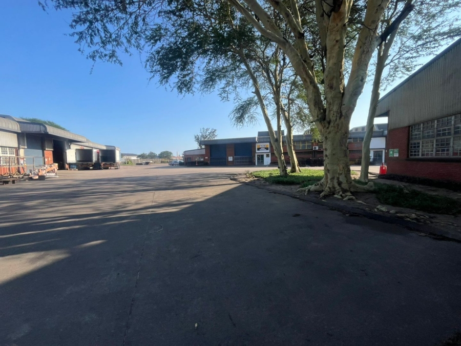 To Let commercial Property for Rent in Richards Bay KwaZulu-Natal