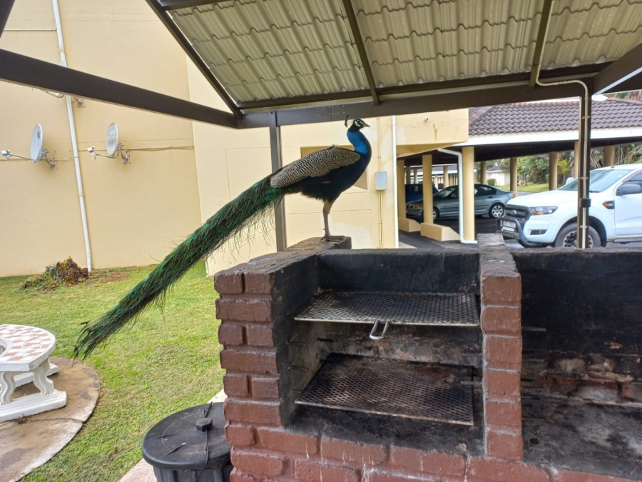 3 Bedroom Property for Sale in Shelly Beach KwaZulu-Natal