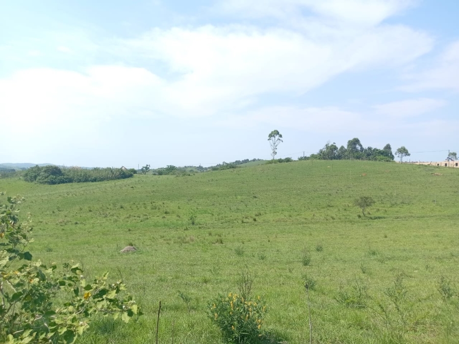 Commercial Property for Sale in Ongoye KwaZulu-Natal