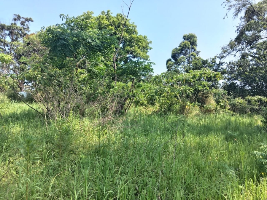 Commercial Property for Sale in Ongoye KwaZulu-Natal