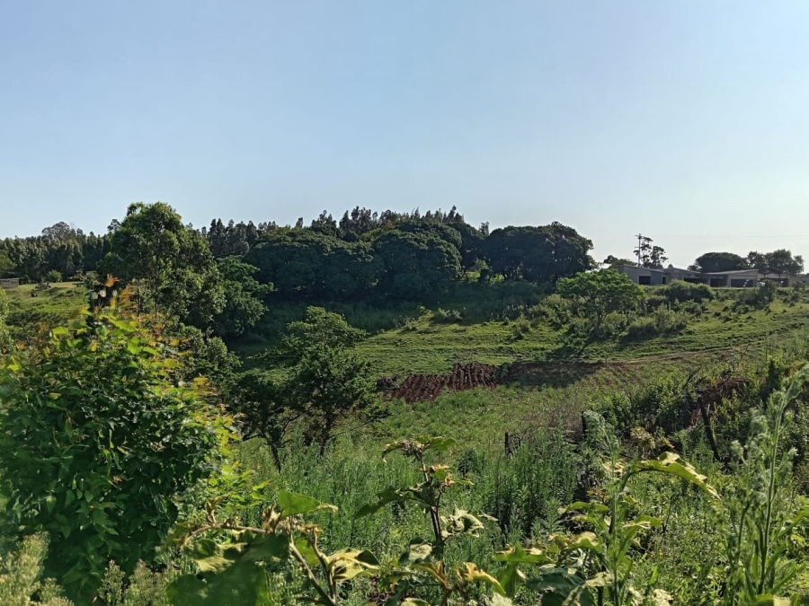 Commercial Property for Sale in Ongoye KwaZulu-Natal