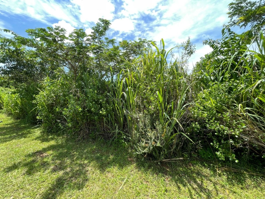 Commercial Property for Sale in Sea Park KwaZulu-Natal