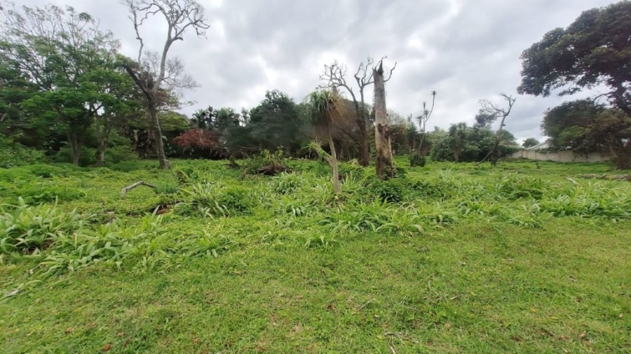 Commercial Property for Sale in Umzumbe KwaZulu-Natal