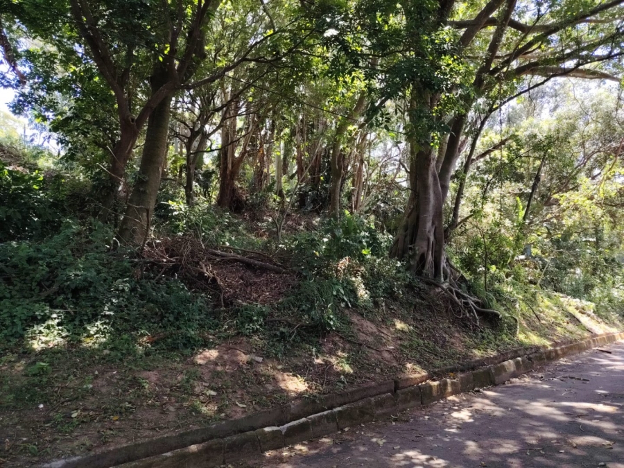 Commercial Property for Sale in Southport KwaZulu-Natal