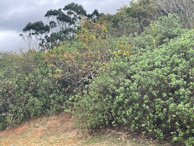 Commercial Property for Sale in Sea Park KwaZulu-Natal