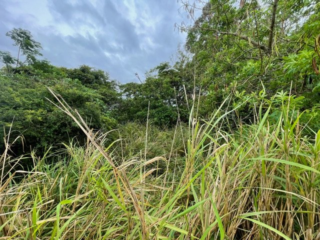 Commercial Property for Sale in Sea Park KwaZulu-Natal