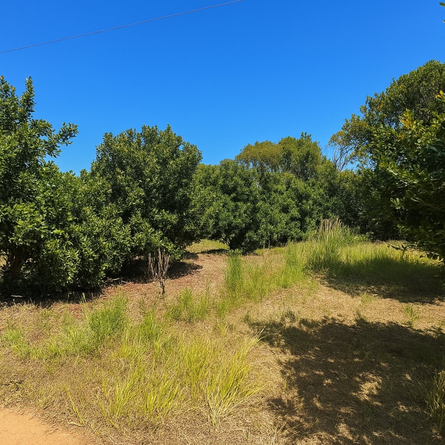 Commercial Property for Sale in Port Edward KwaZulu-Natal