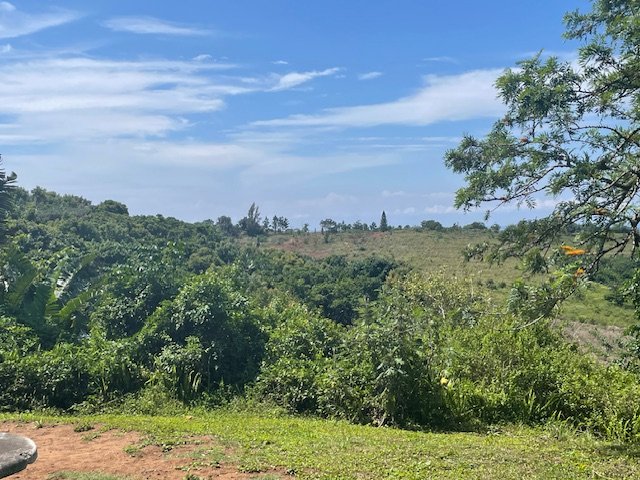 Commercial Property for Sale in Port Edward KwaZulu-Natal