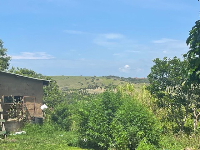 Commercial Property for Sale in Port Edward KwaZulu-Natal