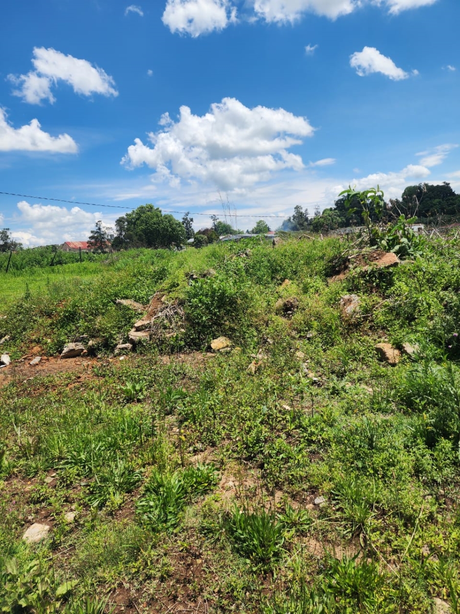 Commercial Property for Sale in Donnybrook KwaZulu-Natal