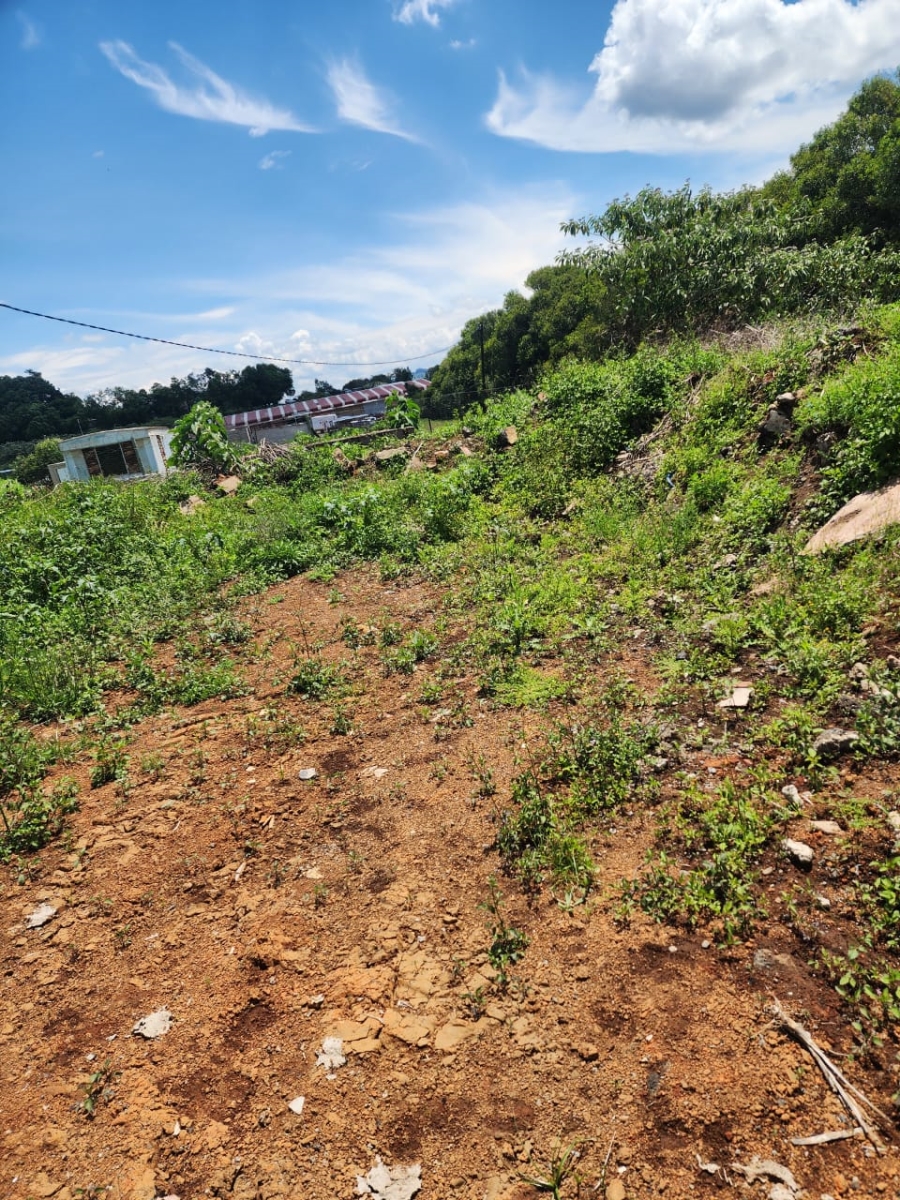 Commercial Property for Sale in Donnybrook KwaZulu-Natal