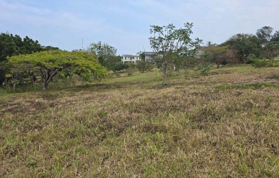 Commercial Property for Sale in Zinkwazi Beach KwaZulu-Natal