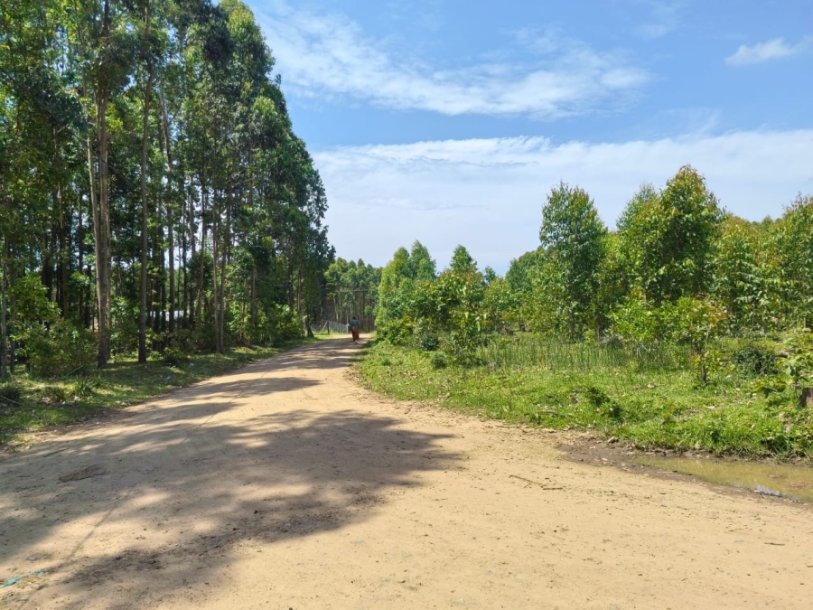 Commercial Property for Sale in Mzingazi KwaZulu-Natal