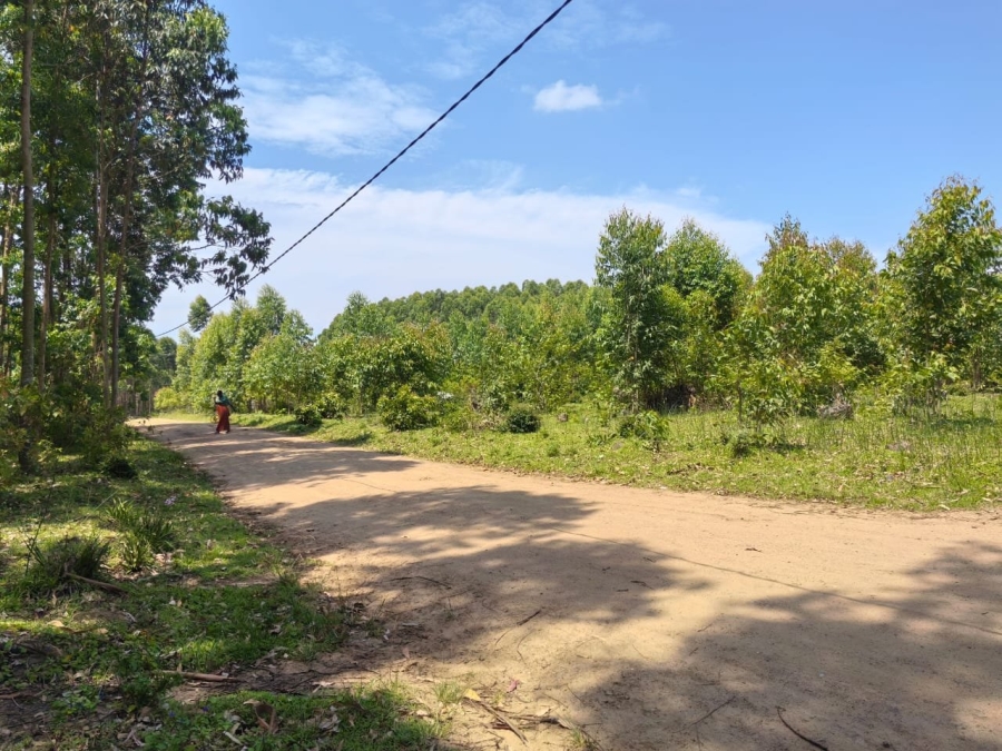 Commercial Property for Sale in Mzingazi KwaZulu-Natal