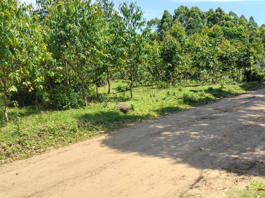 Commercial Property for Sale in Mzingazi KwaZulu-Natal