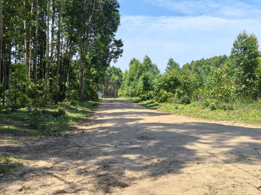 Commercial Property for Sale in Mzingazi KwaZulu-Natal