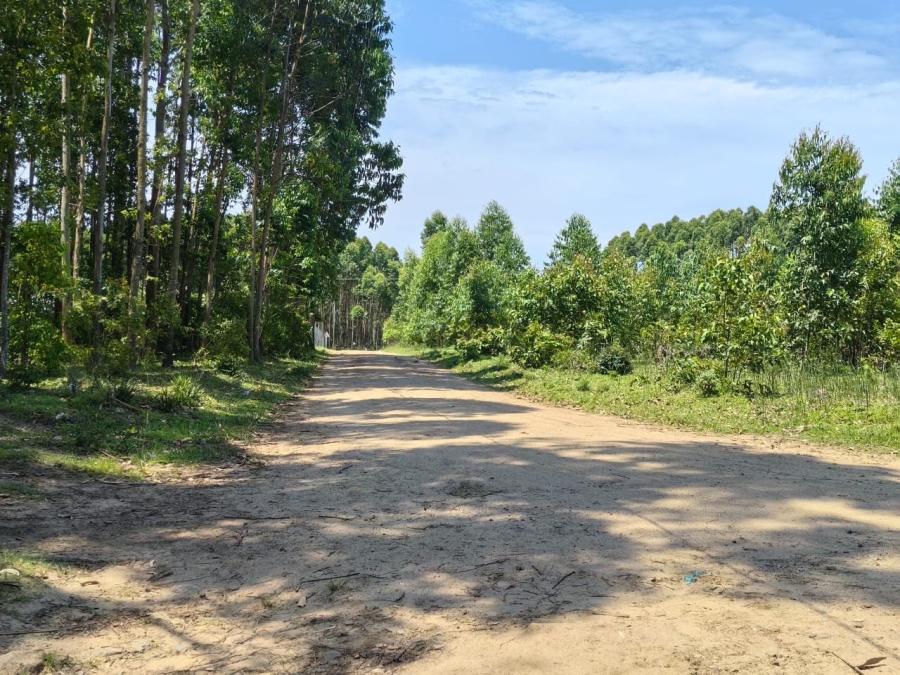 Commercial Property for Sale in Mzingazi KwaZulu-Natal