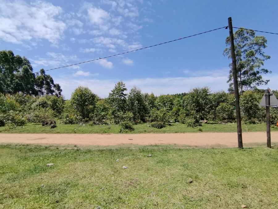 Commercial Property for Sale in Mzingazi KwaZulu-Natal