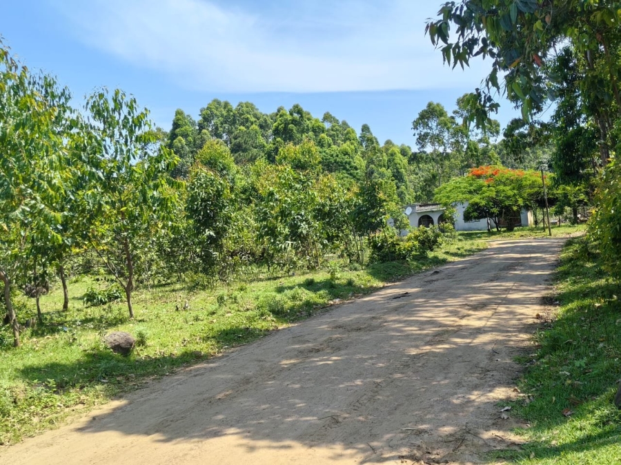 Commercial Property for Sale in Mzingazi KwaZulu-Natal