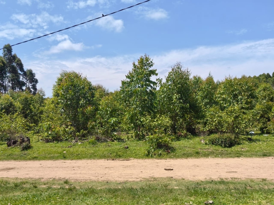 Commercial Property for Sale in Mzingazi KwaZulu-Natal