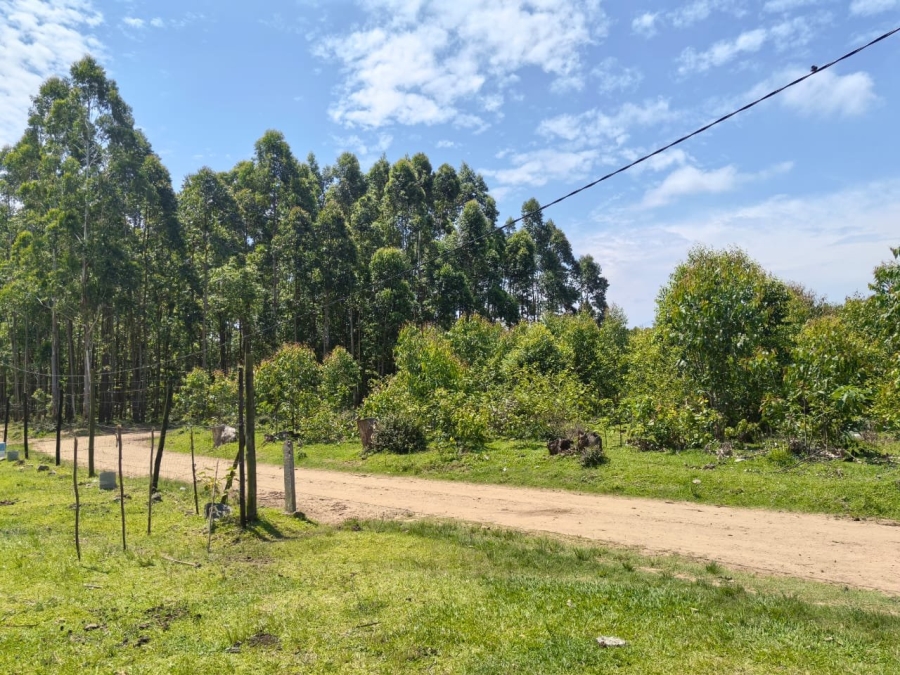 Commercial Property for Sale in Mzingazi KwaZulu-Natal