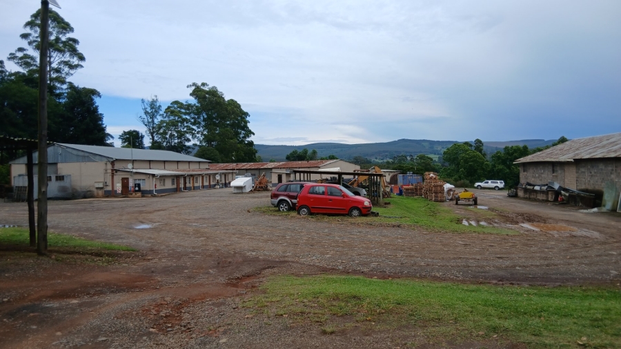 Commercial Property for Sale in Ixopo KwaZulu-Natal