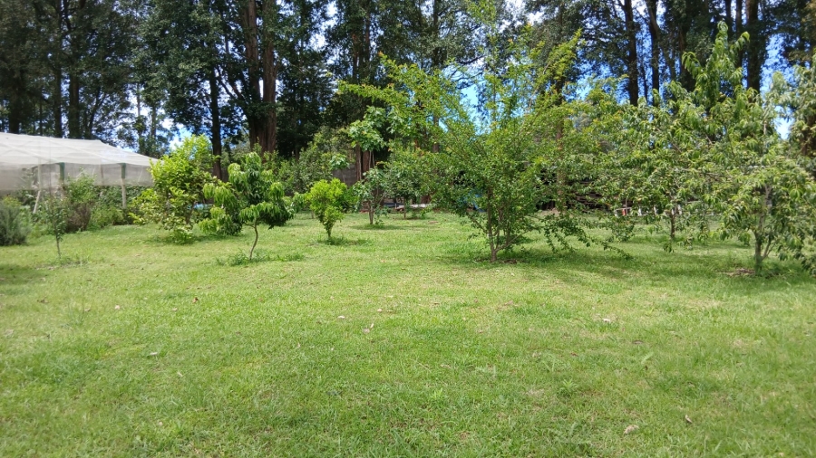 Commercial Property for Sale in Ixopo KwaZulu-Natal