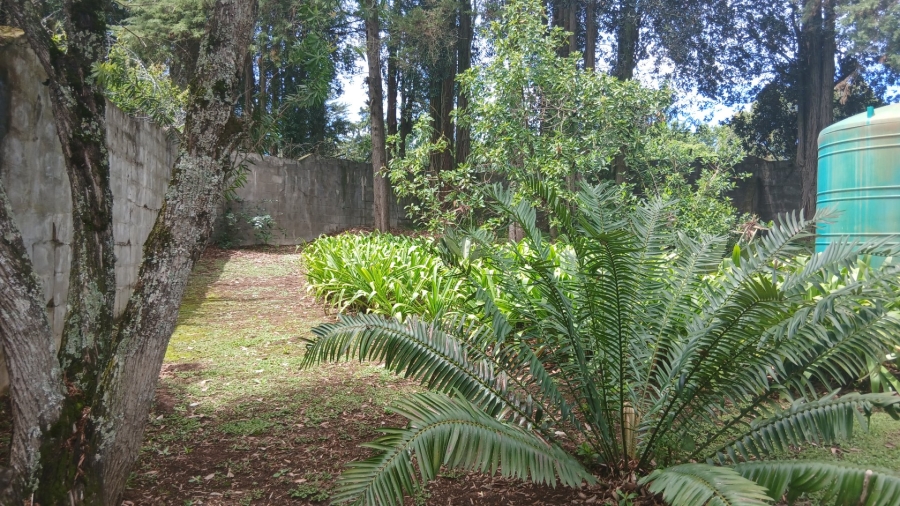 Commercial Property for Sale in Ixopo KwaZulu-Natal