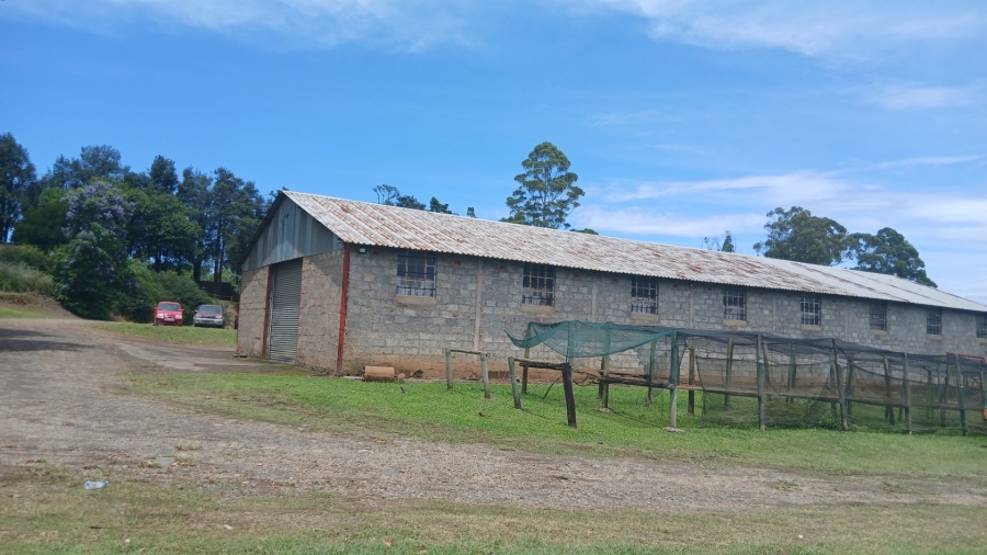 Commercial Property for Sale in Ixopo KwaZulu-Natal