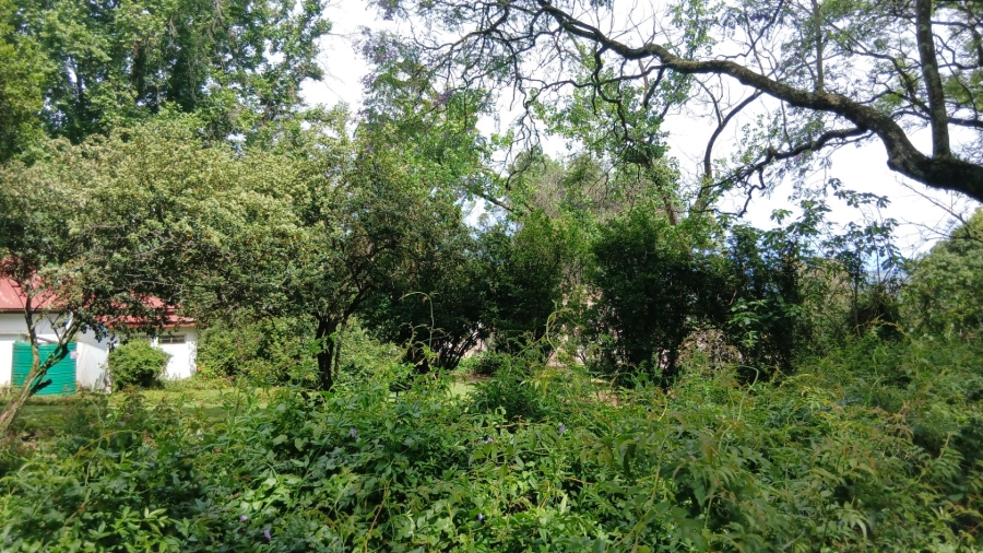 Commercial Property for Sale in Ixopo KwaZulu-Natal