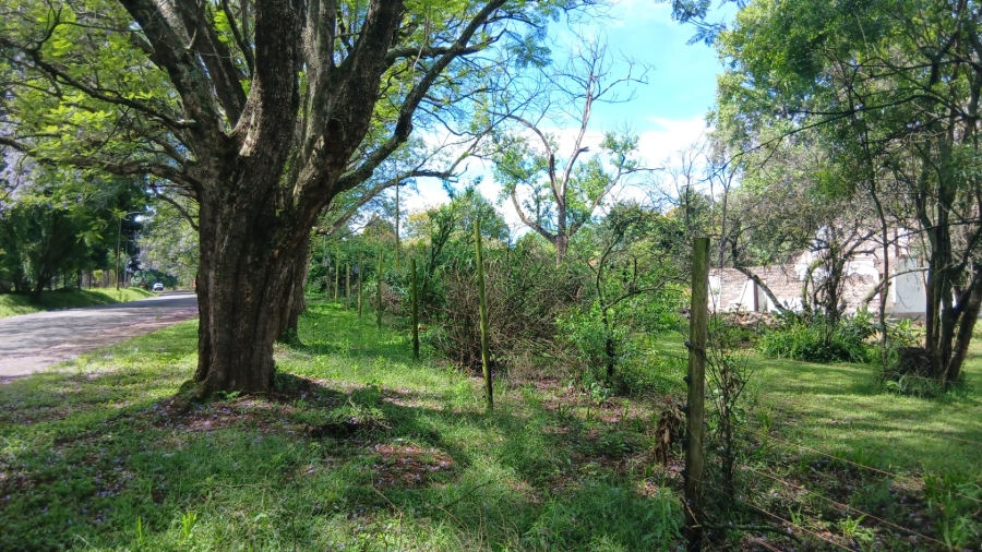 Commercial Property for Sale in Ixopo KwaZulu-Natal