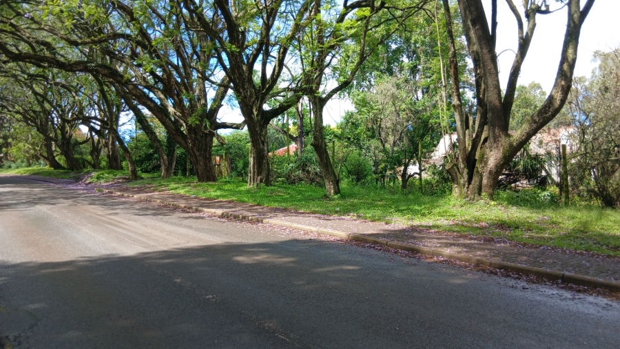 Commercial Property for Sale in Ixopo KwaZulu-Natal